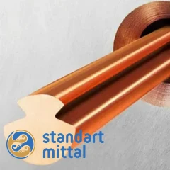 Провод контактный 04Ф 1х100 мм