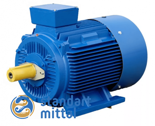 Электродвигатель общепромышленного назначения АИС 56A4 DIN CENELEC в Астане и по всему Казахстану в Астане и по всему Казахстану